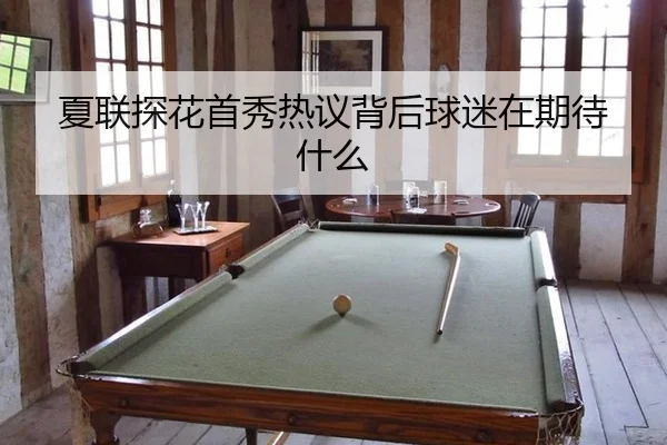 夏联探花首秀热议背后球迷在期待什么